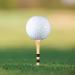 Zivisk Bamboo Golf Tees 100 Count - Strong, Sustainable, Biodegradable - 2-3/4 or 3-1/4 Long - Black & Stripe Design - Buy Online on GoSupps.com