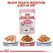 Royal Canin Kitten Dry Cat Food 2kg - Premium Nutrition for Growing Cats - Buy Online on GoSupps.com