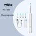 Intelligent Visual Earwax Removal Kit with 500W Pixels Camera - Includes 4 Ear Spoons and Replacement Tips - Buy Online on GoSupps.com