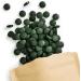 Terra Elements Organic Spirulina Tablets 500mg - 240 pcs | Pure Vegan Microalgae Rich in Natural Iron | Raw Food Supplement - Buy Online on GoSupps.com