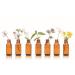 Yarrow oil ORGANIC 5ml from Dragonspice Naturwaren 5ml