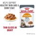 Royal Canin Hair & Skin Care Wet Cat Food in Gravy 48 x 85g - Buy Online on GoSupps.com