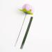 Enajucy 100 pcs 10 Inch Plastic Floral Stem Wire for DIY Artificial Flower Arrangements - Buy Online on GoSupps.com