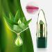 Genenic Aloe Vera Lipstick - Long Lasting Moisturizing Lip Makeup | Color Changing & Anti-Cracking Formula for Charming Shine | 1Pc - Buy Online on GoSupps.com