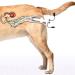 Amhuui Dog Artificial Insemination Kit Semen Booster Professional Dogs Artificial Insemina Syringe for 20-40KG Dogs Corgi Semen Device Canine Insemination Bulldog Insemination Tools - Buy Online on GoSupps.com