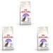 ROYAL CANIN Sterilized 37 | Pack of 3 | 3 x 400g | Dry Food for Sterilized Cats (1 to 7 years) | To Maintain An Ideal Body W