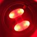 Rapala Lighted Marker Buoy - Enhanced Visibility for Fishing Spots - Buy Online on GoSupps.com