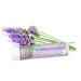 Soothing Touch Vegan Lip Balm Variety Pack - Grapefruit Lemon Cardamom Coconut Lavender Vanilla Chai - 4 Pack - Buy Online on GoSupps.com