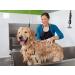 Simply Pure Pet Tearless Cucumber Melon Shampoo Concentrate - 1 Gallon (128oz) - Buy Online on GoSupps.com