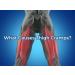 Thigh Compression Strap - Iliotibial Band Brace for Pain Relief in Running Basketball Football & Gym - Ideal for Patellar Tendonitis (Black - Buy Online on GoSupps.com