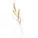 OUNONA Simulated Ears of Corn Grass Plume Artificial Millet Ears Fall Decor Wheat Decoration Thanksgiving Decorations Wheat Fake Grasses Bundle Plant Paddy Pvc Artificial Grass Golden 75.00X12.00X2.00CM