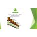 Pure Herbs ERIK (EPHORIA) ATTAR for Unisex Suitable for Occasion Parties & Daily Uses 5ml - Buy Online on GoSupps.com