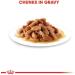 ROYAL CANIN Kitten in Gravy Wet Food 85g (Pack of 48) * Multipack * Meat 48 count (Pack of 1) - Buy Online on GoSupps.com