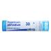 Boiron Single Remedies Hypericum Perforatum 30C Approx 80 Pellets