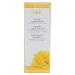 Gigi Honee Wax Applicators Large 100 Count by GiGi
