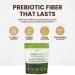 WellVine Premium Smart Prebiotic Gut Health Supplement Powder for Men & Women | Digestive Support & Gut Health With 100% Upcycled Chardonnay Grapes | Plant-Based Gluten and Allergen-Free | 4.75Oz - Buy Online on GoSupps.com