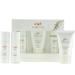 Pure Fiji Refresh and Glow - Facial Travel Kit - Sulphate-Free Purifying Cleanser (30 ml) Balancing Alcohol-Free Toner (30 ml) Fruit Enzyme Exfoliating Scrub (30 ml)