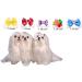 Yagopet 50pcs/Pack Cute New Dog Hair Bows Pairs Rhinestone Pearls Flowers Topknot Mix Styles Dog Bows Pet Grooming Products Mix Colors Pet Hair Bows Topknot Rubber Bands - Buy Online on GoSupps.com