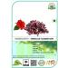 Pack of 3 dried Bhringraj Brahmi and Hibiscus flowers for hair growth and strengthening 300g - Buy Online on GoSupps.com