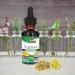 NaturaAnswer's YarowAntenna 30 ml - Buy Online on GoSupps.com