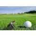 Seacloud 18g Golf Weight for Taylormade 2017 M2 Driver - Replacement Heavyweight Option - Buy Online on GoSupps.com