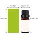 Essential Oils - 10mL Aromatherapy Oils Diffusers for Home Care DIY Candle Making Scent Fragrance Soap Slime Gifts - Lavender Jasmine Rose Sandal Wood Lemon Peppermint (Freesia Oil) - Buy Online on GoSupps.com