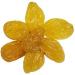 Jumbo Golden Raisins NUTLY (460) 460.0 grams - Buy Online on GoSupps.com