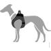 HUNTER HILO Comfort Harness for Small Dogs - Mesh & Reflective - Anthracite XS | International Shipping - Buy Online on GoSupps.com