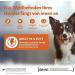 Buy Wellness Core 95% Turkey & Kale Wet Dog Food - Grain Free High Meat Content 6 x 400g Pack - Buy Online on GoSupps.com