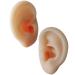 Ear Models Fake Ears Silicone Ear Fake Ear Silicone Ear Practice Ear Model 2 Silicone Ear Model Acupuncture Ear Model