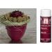 Design Master COLORTOOL Maroon Spray Paint Set - 4 Piece - Buy Online on GoSupps.com