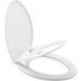 Little2Big 181SLOW 000 Elongated Toilet Seat with Built-In Potty Training Seat | Slow-Close & Never Loosen | White - 1 Pack - Buy Online on GoSupps.com