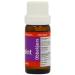 Obbekjaers Japanese Peppermint Oil 10ml - Pure and Organic Essential Oil - Buy Online on GoSupps.com