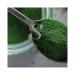 Chlorella Powder (1 LB)