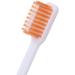 Buy Tvoip Portable Folding Toothbrush Set 4 Super Soft Travel Brushes for Camping Hiking & Outdoor Use - Buy Online on GoSupps.com