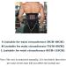 Buy Back Support Belt for Lower Back Pain Relief - Lumbar Support for Men & Women | Ideal for Work Lifting & Gym - Black L - Buy Online on GoSupps.com