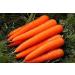 Potseed Seeds Organic Carrot Seeds Home Garden Vegetable Fruit Big Natural 100 Pcs - Buy Online on GoSupps.com