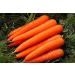 Potseed Seeds Organic Carrot Seeds Home Garden Vegetable Fruit Big Natural 100 Pcs