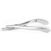 Nail Nipper Stainless Steel Box Joint Style - Buy Online on GoSupps.com