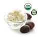 Certified ORGANIC RAW SHEA NUT BUTTER (African). HUGE 17.5 oz.Unrefined Natural Moisturizer. 17.5 Ounce (Pack of 1) - Buy Online on GoSupps.com