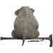 Old Man Crutches Four Feet Multi-Function with Lights Non-Slip Telescopic Walking Stick Elderly Smart Cane Radio Safehappy - Buy Online on GoSupps.com