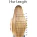 SEGO 66cm Clip-In Hair Extensions - Real Human Hair Smooth Ash Blonde & Bleach Blonde 5 Clips 120g - Perfect for a Gorgeous Look! - Buy Online on GoSupps.com