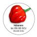 Scovillas Habanero Chili Powder 50g - Premium Spice for International Shipping - Buy Online on GoSupps.com