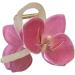 New 2025 Butterfly Orchid Flower Hair Claw Cloth Barrettes Orchid Ponytail Clip Headdress Large Shark Clip Female Jewelry Fashion Accessories Creative Gift - Buy Online on GoSupps.com