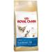 Royal Canin Siamese Adult Breed Dry Cat Food 400g (Pack of 2) - Buy Online on GoSupps.com