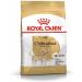 Royal Canin Chihuahua Adult | Pack of 4 | 4 x 500 g | Dry food for Adult Chihuahuas | to Support stool quality and dental health | High Acceptance - Buy Online on GoSupps.com