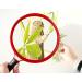Magnifier Magnifying Glass 10 Times Old Man Reading Handheld High-Definition Glass Large Diameter 130Mm to See Map Book 13 cm Diameter Glass Lens Non-Slip Handle Lofty Ambition - Buy Online on GoSupps.com