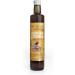 Sonnentor Organic turmericlemon syrup 2 x 500 ml - Buy Online on GoSupps.com