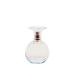 Charlotte Russe Delightful Perfume