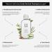 sober Daily Revival Shampoo | Enhance Hair Roots & Volume | Ectoin + Biotin | International Shipping Available - Buy Online on GoSupps.com